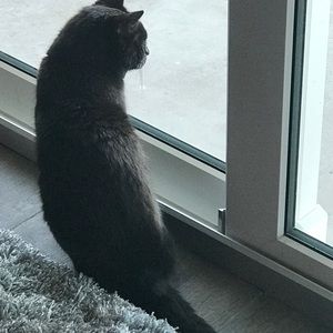 Meet your Posher, Pegy